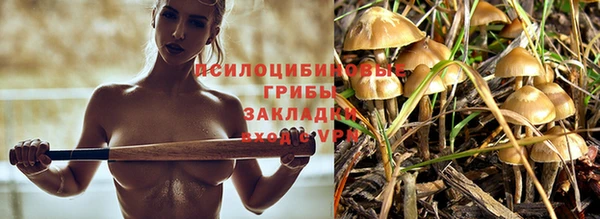 a pvp Белокуриха